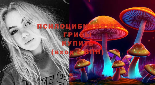 гидра Нефтегорск