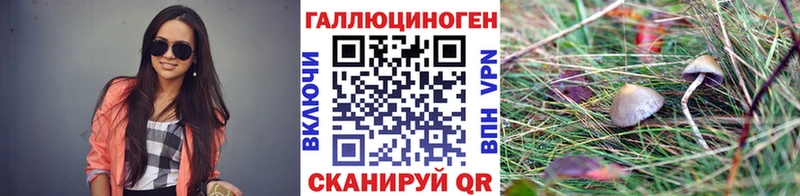 Галлюциногенные грибы прущие грибы  сколько стоит  Окуловка 